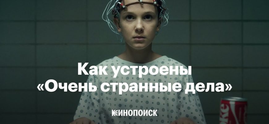 kak-ustroeny-ochen-strannye-dela