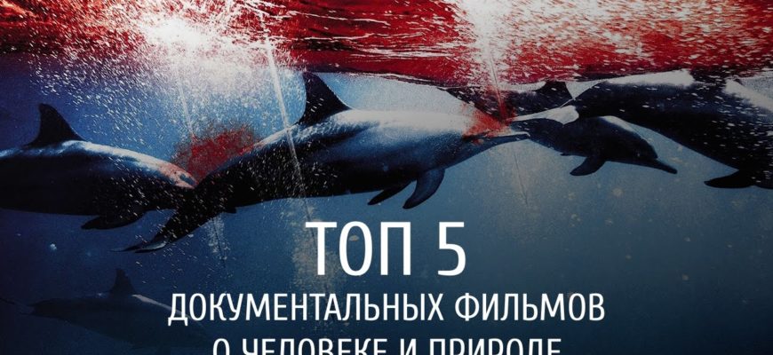 5-dokumentalnyh-filmov-o-cheloveke-i-prirode